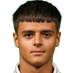 Luka Zarić