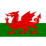 Logo van Wales U19