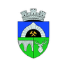 Logo van Anenii Noi Vrouwen