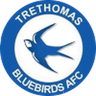 Logo van Trethomas Bluebirds