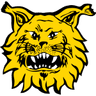 Logo van Ilves