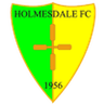 Logo van Holmesdale