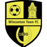 Logo van Wincanton Town