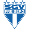 Logo van SGV Freiberg
