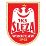 Logo van Ślęza Wrocław