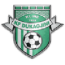 Logo van Dukagjini