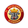 Logo van Mecklenburg Schwerin