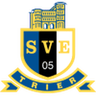 Logo van Eintracht Trier