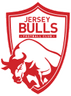 Logo van Jersey Bulls