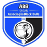 Logo van Black Bulls Maputo