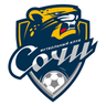 Logo van FC Sochi