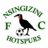 Logo van Nsingizini Hotspurs