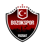 Logo van Yozgat Bld Bozokspor