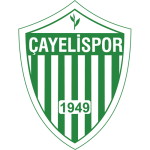 Logo van Çayelispor