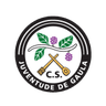 Logo van Juventude Gaula