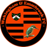 Logo van Wokingham Town