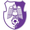 Logo van Arges Pitesti