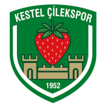Logo van Kestel Çilek