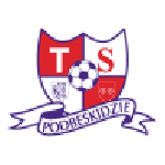 Logo van Podbeskidzie