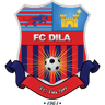 Logo van Dila