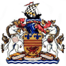 Logo van Barry Town