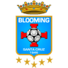 Logo van Blooming
