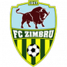 Logo van Zimbru