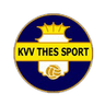 Logo van Thes Sport