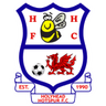 Logo van Holyhead Hotspur