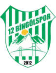 Logo van 12 Bingölspor