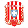 Logo van Resovia Rzeszów