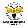 Logo van East Grinstead Town