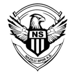 Logo van Nazilli Spor