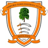 Logo van Ashford Town (Middlesex)