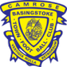 Logo van Basingstoke Town