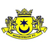 Logo van Moneyfields