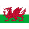 Logo van Wales