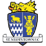 Logo van St Neots Town