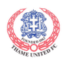 Logo van Thame United
