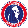 Logo van Dorking Wanderers