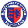 Logo van Biggleswade United