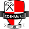 Logo van Cobham