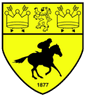 Logo van Newmarket Town