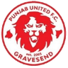 Logo van Punjab United