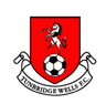 Logo van Tunbridge Wells