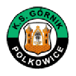Logo van Górnik Polkowice