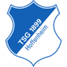 Logo van Hoffenheim II